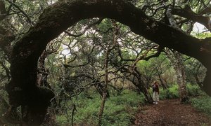 Magical May - Mid Week Update