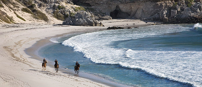 beach-horse-riding-in-gansbaai-south-africa_1