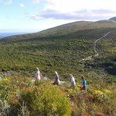 Hiking The Fynbos Trail