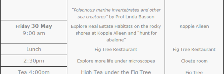 2014_05_27_11_17_30_Inter_Tidal_Workshop_De_Hoop_Collection