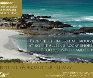 De Hoop Inter-Tidal Workshop 28-31 May