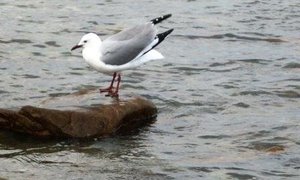 Program Sondag 8 Junie 2014