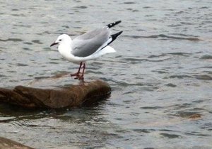 Program Sondag 8 Junie 2014