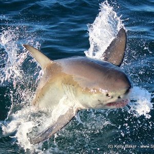 20140628_SF_Trip1_KBaker_IMG_0071