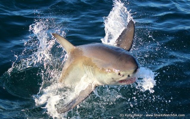 20140628_SF_Trip1_KBaker_IMG_0071