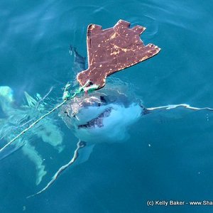 20140629_SF_Trip1_KBaker_IMG_0221