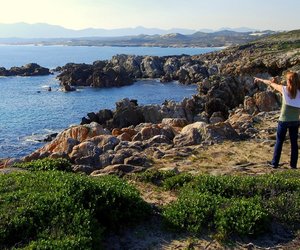 How to spot the Right Whale