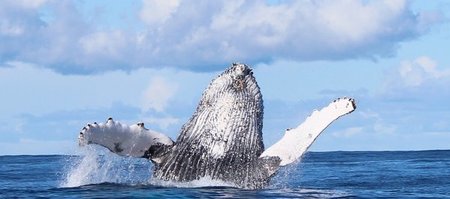 20140707_SF_Trip1_KBaker_IMG_0247