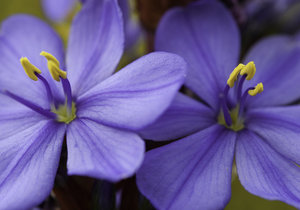 Experience the great outdoors with De Mond Nature Reserve