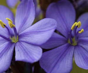 Experience the great outdoors with De Mond Nature Reserve