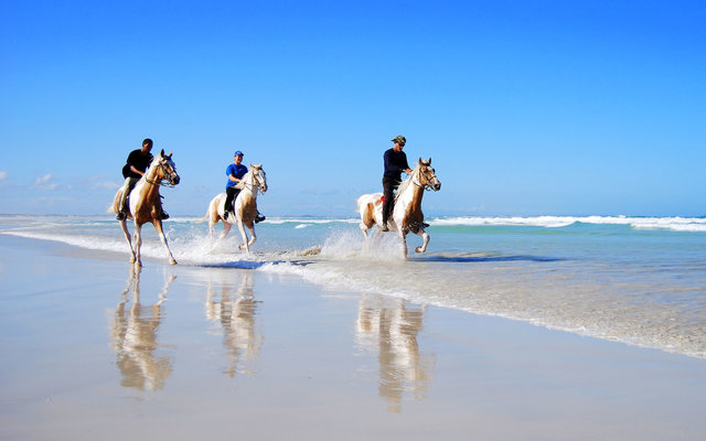 Horse-riding along the beaches of Struisbaai