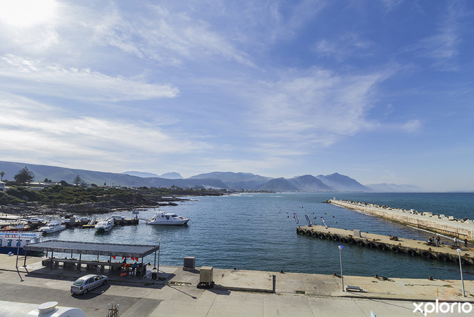 hermanus_new_harbour_1559555527