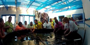 1646_546526088702648_233107334_n