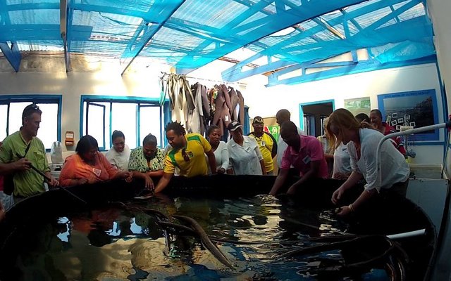 1646_546526088702648_233107334_n