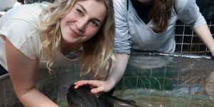 487775_530858790269378_183536670_n