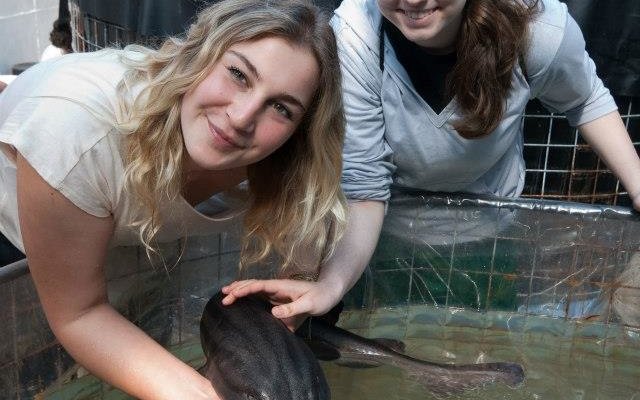 487775_530858790269378_183536670_n