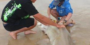 598825_543261805695743_2071535159_n