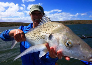 The South African Shark Conservancy