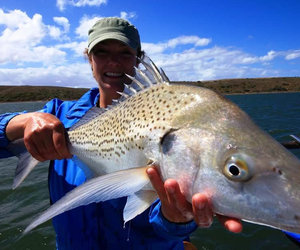 The South African Shark Conservancy