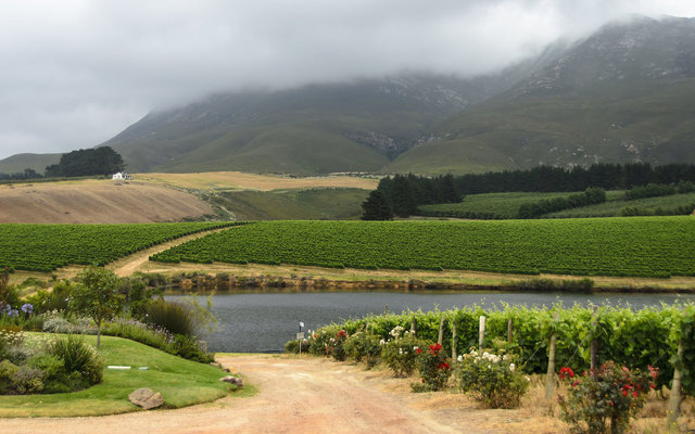 hemel-en-aarde-valley