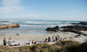Blue Flag Beaches in Hermanus