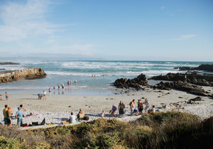 Blue Flag Beaches in Hermanus
