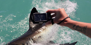 Did you get the shot? via Marine Dynamics