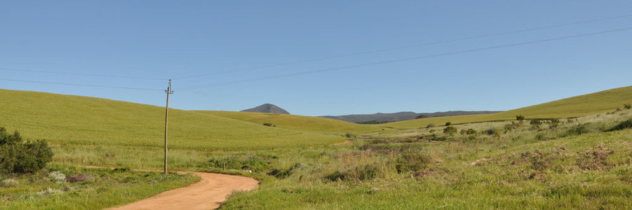 Head into the hills on a horseback adventure in Napier