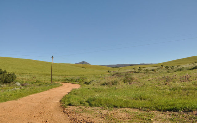 Head into the hills on a horseback adventure in Napier