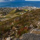 Hermanus - image courtesy of HD Photography