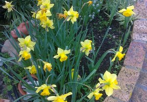 Program vanaf 18 Augustus tot 24 Augustus