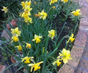 Program vanaf 18 Augustus tot 24 Augustus