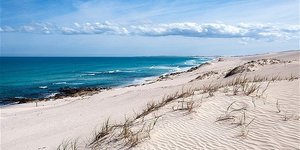 De Hoop Nature Reserve - Cape Nature