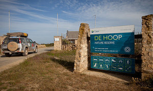 De Hoop Nature Reserve - Cape Nature