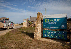 De Hoop Nature Reserve: Capturing Nature's Wonder and Beauty