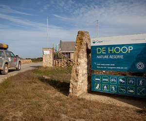 De Hoop Nature Reserve - Cape Nature