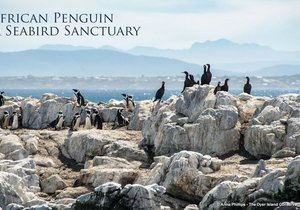 Ground breaking Ceremony for the African Penguin and Seabird Sanctuary