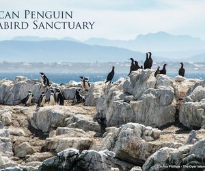 Ground breaking Ceremony for the African Penguin and Seabird Sanctuary
