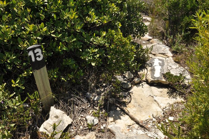 agulhas_home_widget_hiking_1614940126