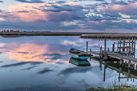 Mid day with Polarising filter