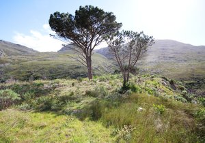 New Listing in Stanford - FARM