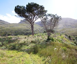 New Listing in Stanford - FARM