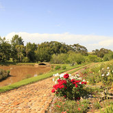 View across part of the garden