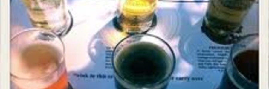 birkehead-brewery-gansbaai-explore