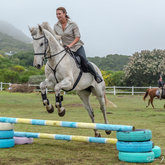 Grootbos Horses