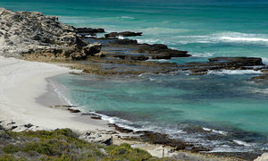 Say Yes! to De Hoop this YESvember