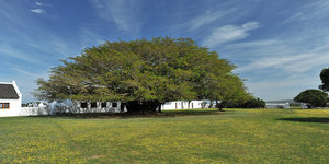 De Hoop Opstal - the 'hub'