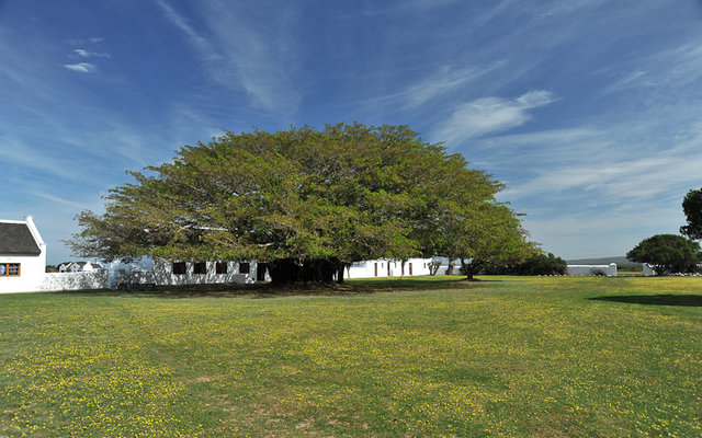 De Hoop Opstal - the 'hub'