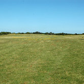 Golf - come and enjoy!