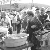 Basaar in Strandveld